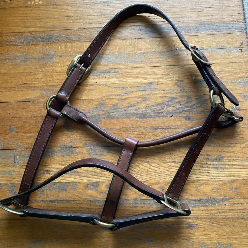 Brown Leather Horse Halter